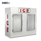 Stainless Steel Outdoor Ice Merchandiser PVC Popsicle Display Freezer R404a